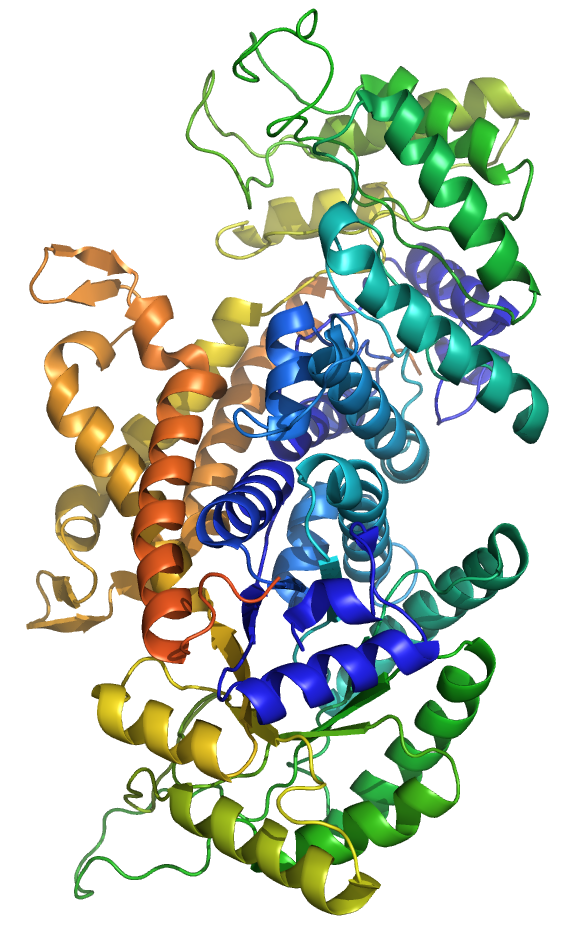 Representation of the enzyme aldolase